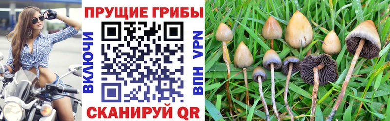 Псилоцибиновые грибы мицелий  hydra ссылка  Рубцовск 